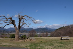 開け原