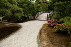誘いの橋