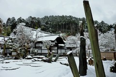 剣石の庭