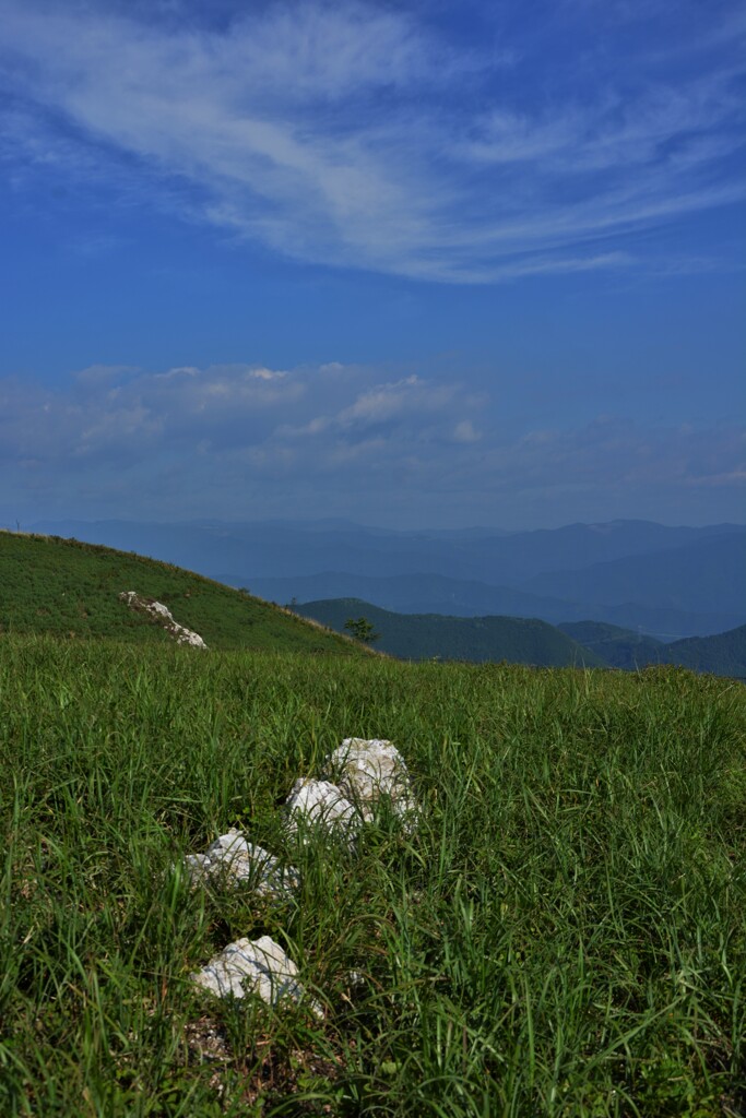 顔出す石灰岩
