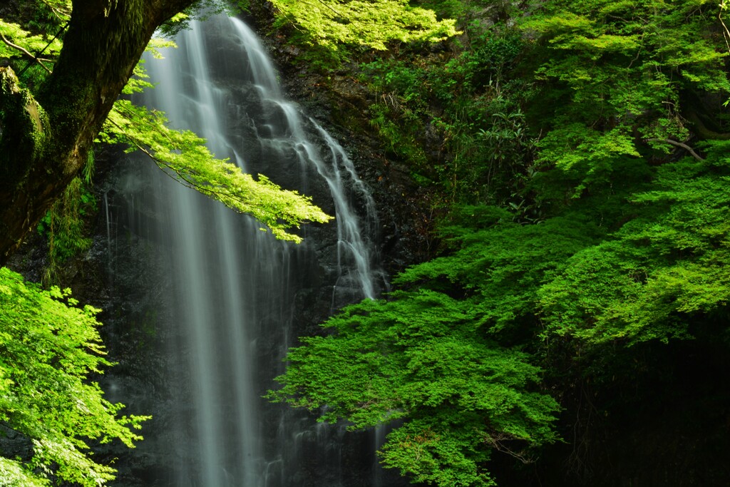 秘滝