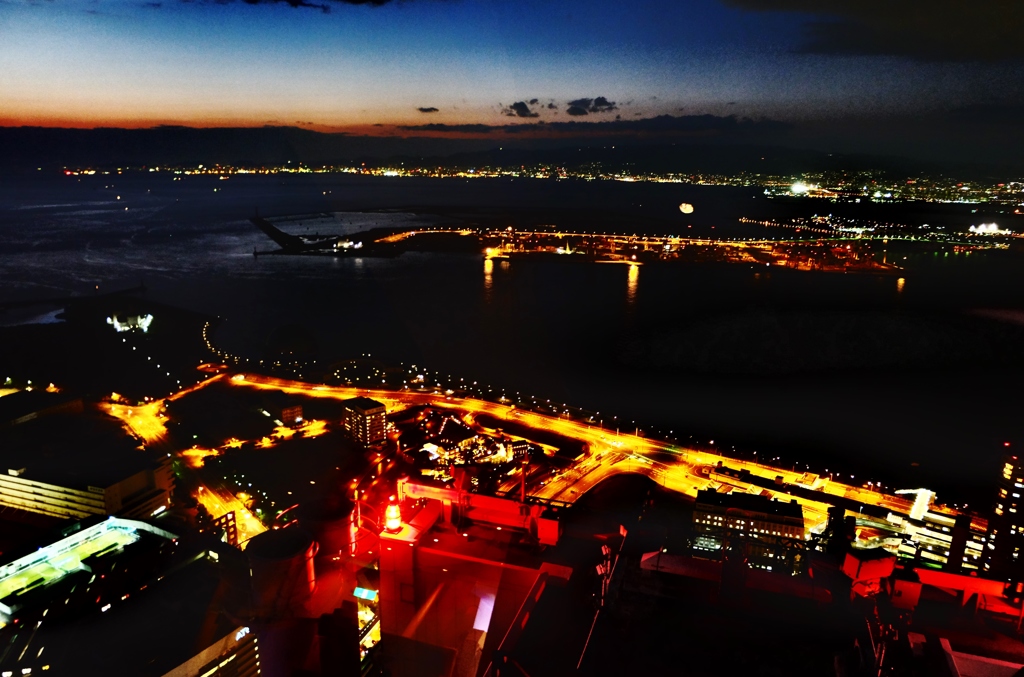 高度252mの夜