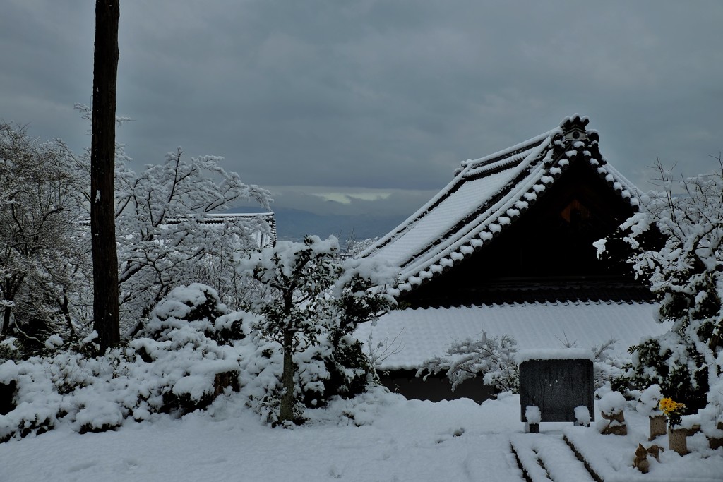 雪景