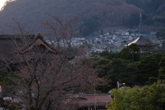 善光寺裏