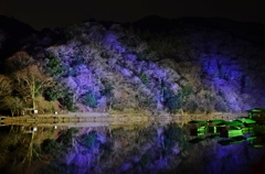 屋形船