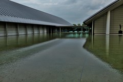 美術館