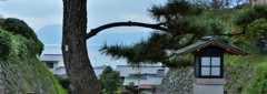 覗海
