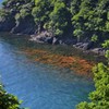 透かし海