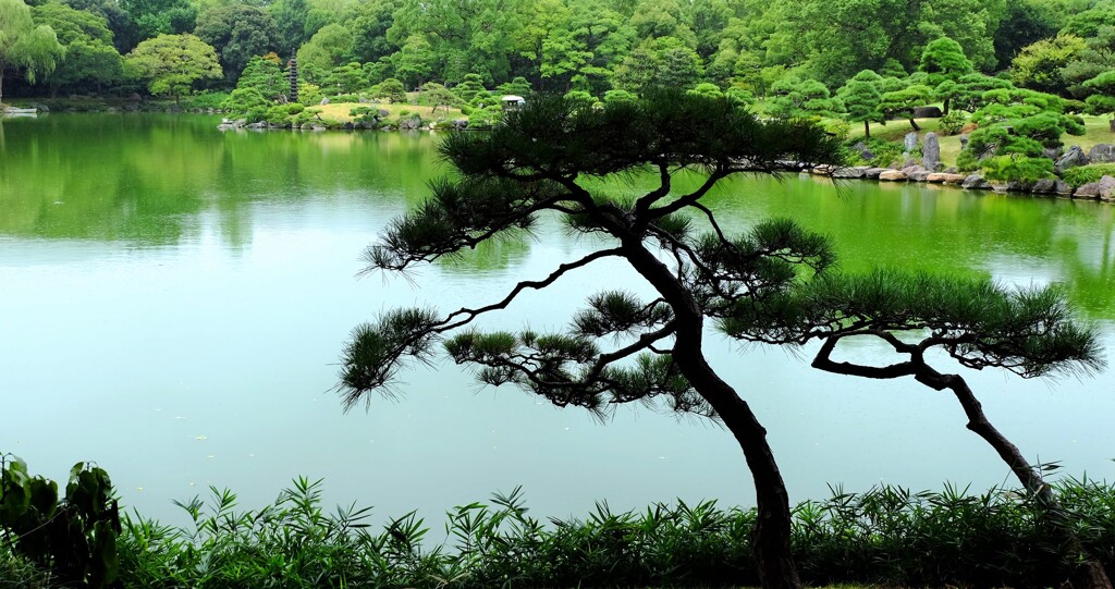 風流