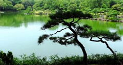 風流
