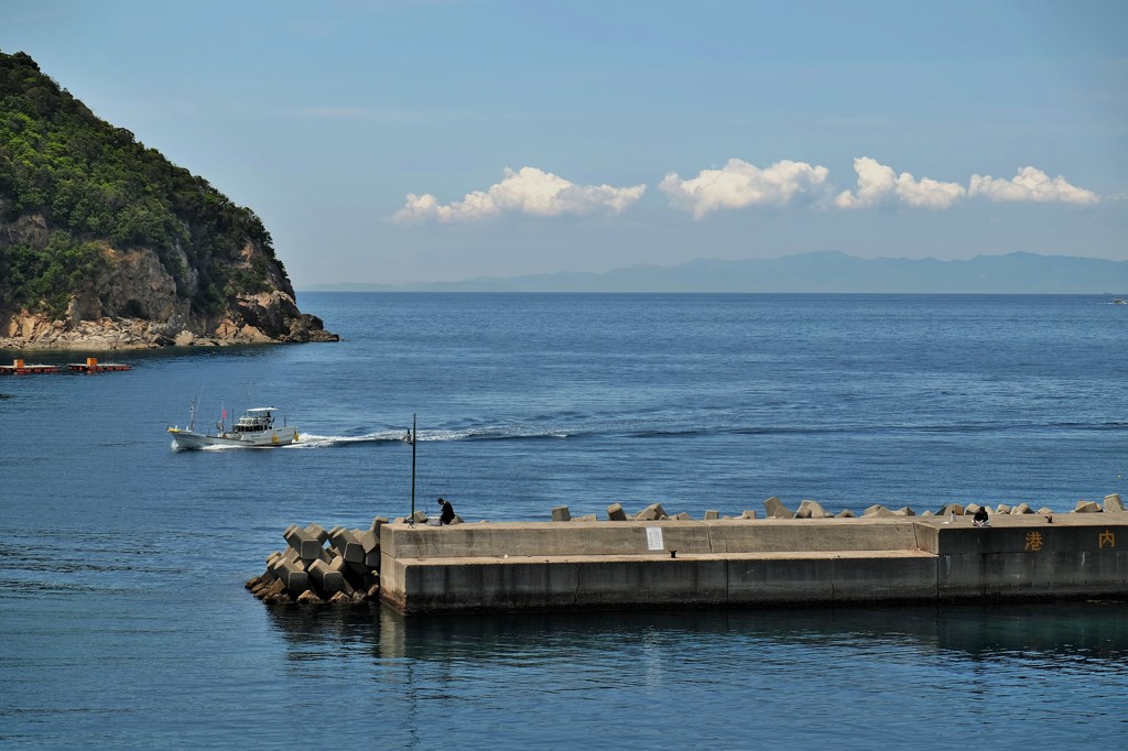 帰港