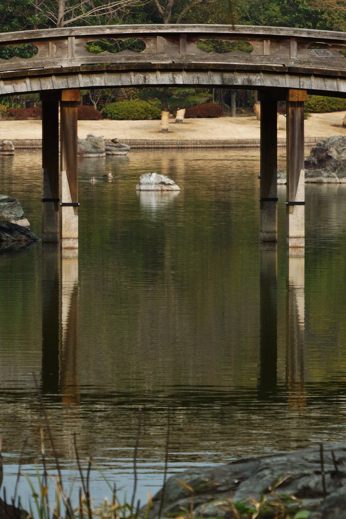 弧橋