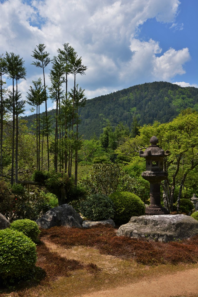 庭と借景