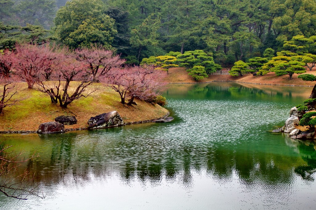 池の美