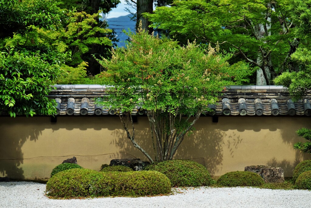 土塀