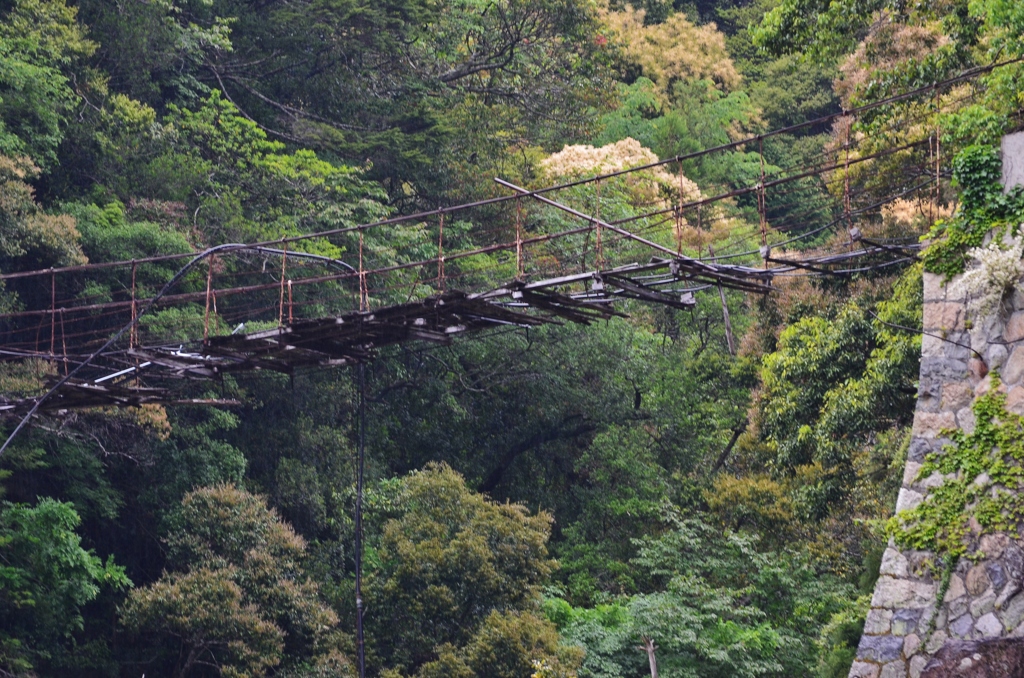 朽ちし吊橋