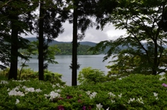 緑包まれし芦ノ湖