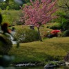里桜
