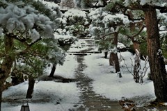 雪の参道