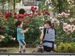 ママ写すよ！