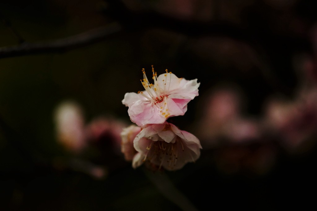 終冬