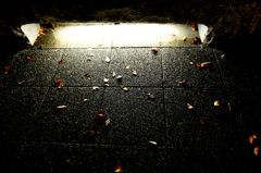 照射