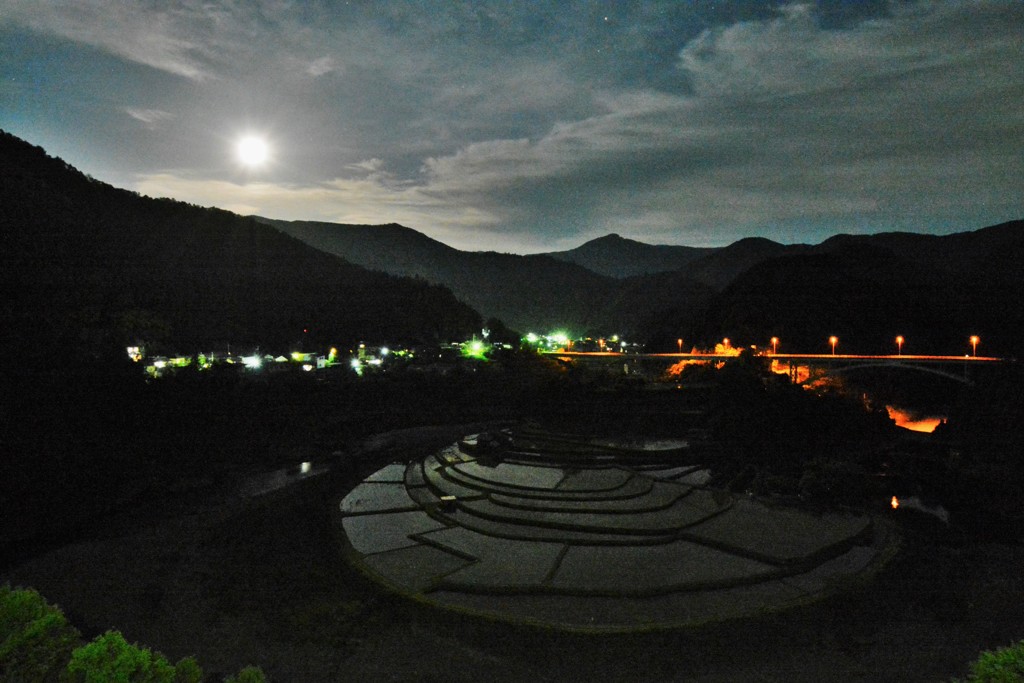月照の田