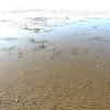 光る浜