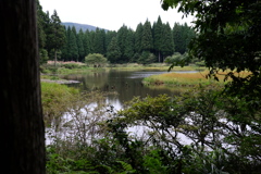 森の池