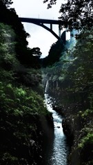 髙き橋