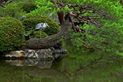 隠遁