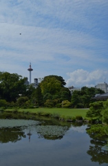 京都タワー遠望