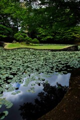 池越え