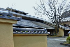 風情