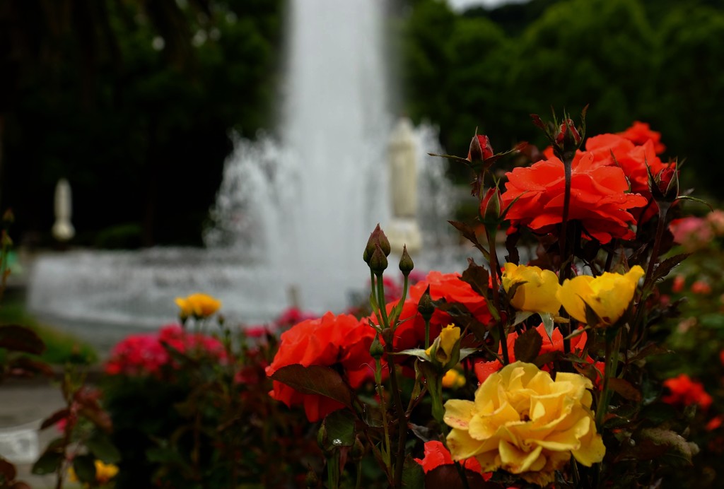 花園
