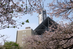 包まれて