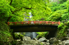 朱橋