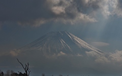 光芒に栄える