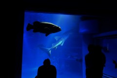 海の中