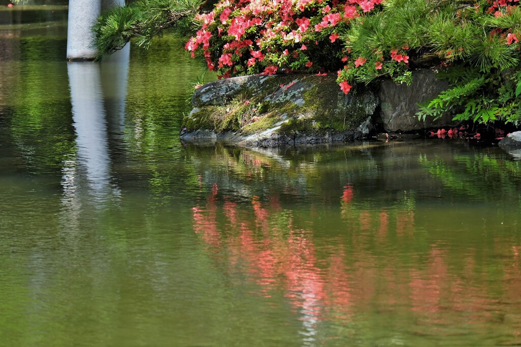 色づく水面