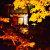 華麗
