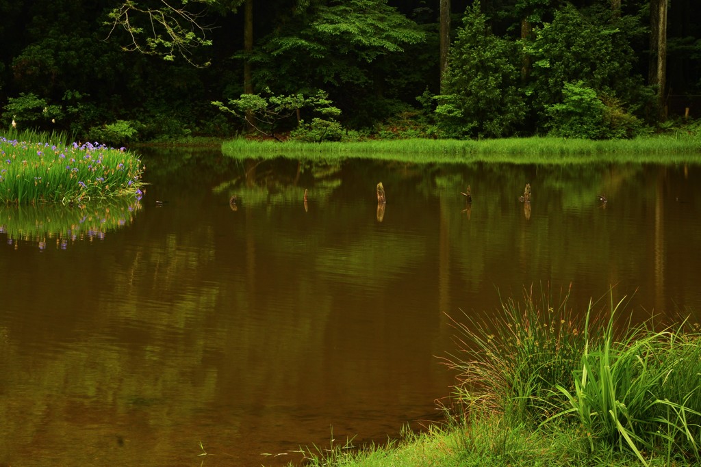 平池
