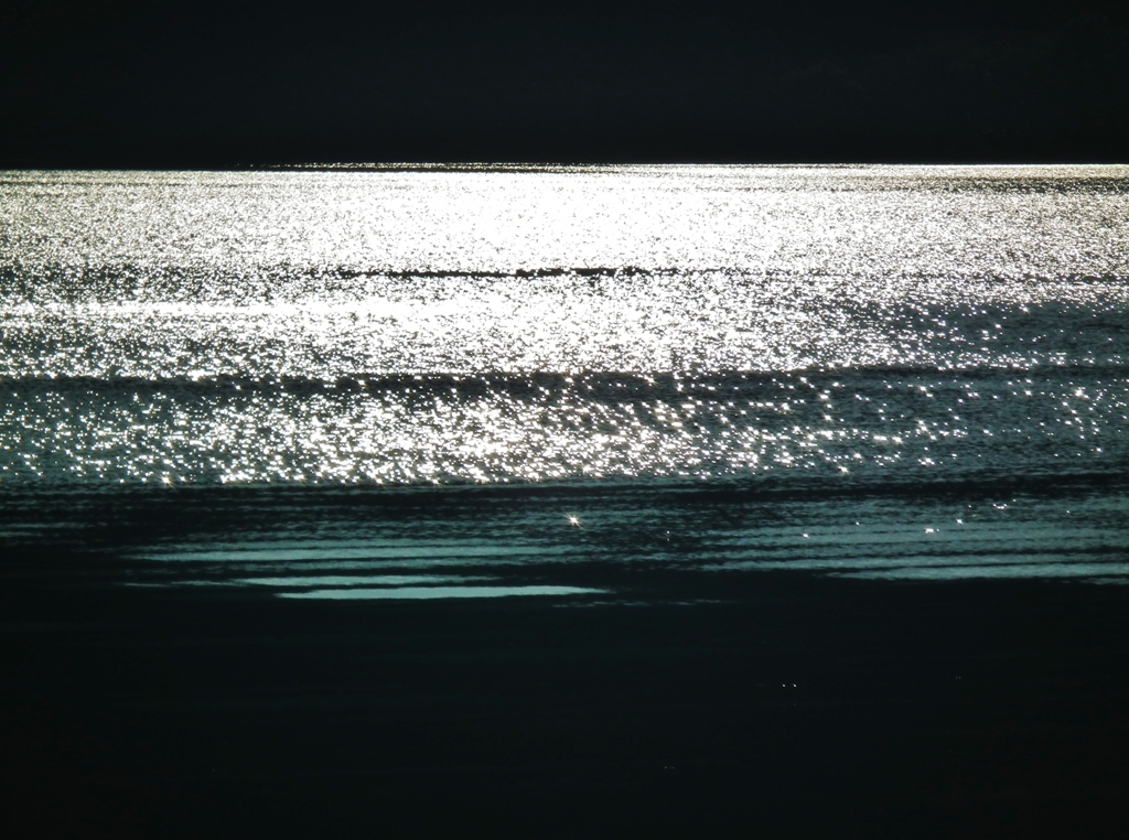 湖面の煌き
