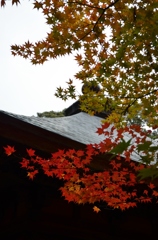 黄・紅・堂