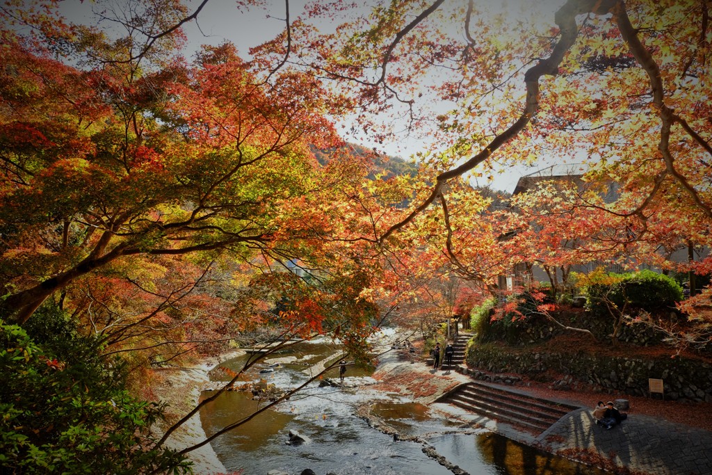 秋盛り