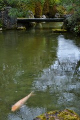 遠景