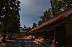 木洩れ日社殿