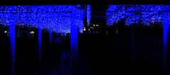 ブルーな夜