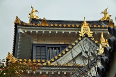 金城