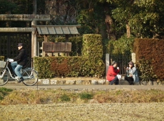 談笑